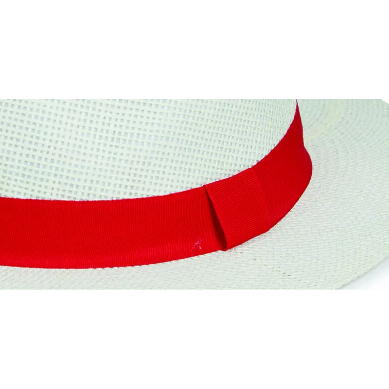 JDN One Size Fits All Panama Hat